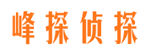 临翔寻人公司